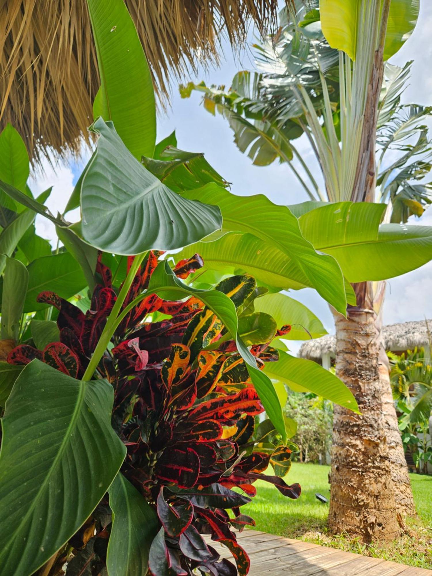 Casa Shambala B&B Las Terrenas Kültér fotó